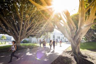 A picture of people walking on a walkway among trees with the library building in distance. Photo is having a flare of the sunlight.